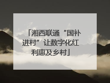湘西联通“国补进村”让数字化红利惠及乡村