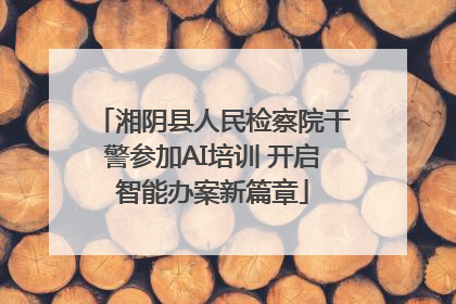 湘阴县人民检察院干警参加AI培训 开启智能办案新篇章