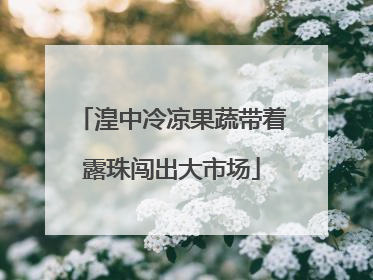 湟中冷凉果蔬带着露珠闯出大市场