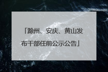 滁州、安庆、黄山发布干部任前公示公告