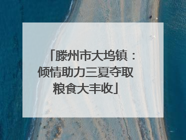 滕州市大坞镇：倾情助力三夏夺取粮食大丰收