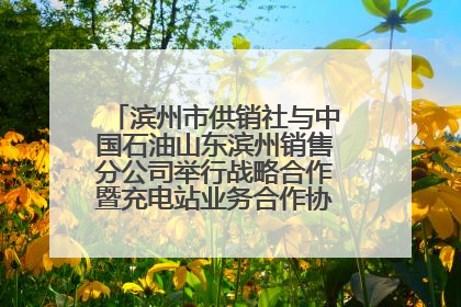 滨州市供销社与中国石油山东滨州销售分公司举行战略合作暨充电站业务合作协议签约仪式