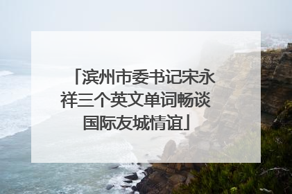 滨州市委书记宋永祥三个英文单词畅谈国际友城情谊
