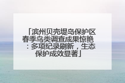 滨州贝壳堤岛保护区春季鸟类调查成果惊艳：多项纪录刷新，生态保护成效显著
