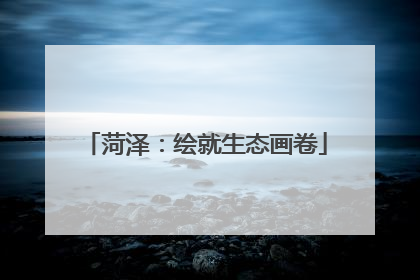 菏泽：绘就生态画卷