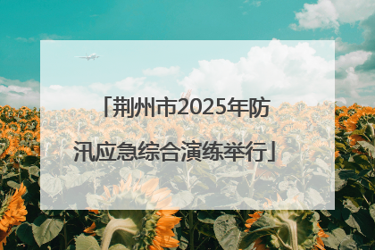 荆州市2025年防汛应急综合演练举行