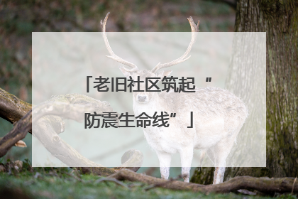 老旧社区筑起“防震生命线”