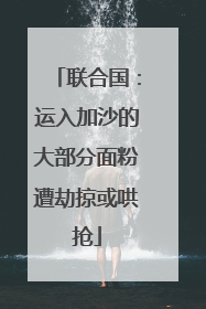 联合国：运入加沙的大部分面粉遭劫掠或哄抢