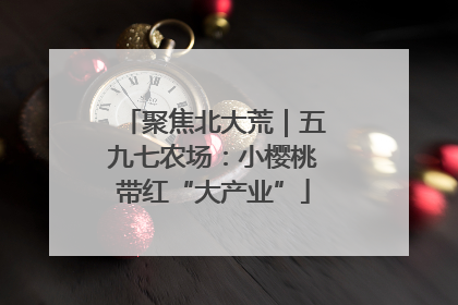聚焦北大荒｜五九七农场：小樱桃带红“大产业”