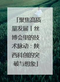 聚焦高质量发展丨丝博会里的技术脉动：陕西科创的突破与想象