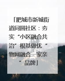 肥城市新城街道同圆社区：夯实“小区融合共治”根基做优“物网融合一家亲”品牌