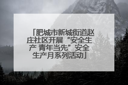 肥城市新城街道赵庄社区开展“安全生产 青年当先”安全生产月系列活动