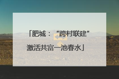 肥城：“跨村联建”激活共富一池春水