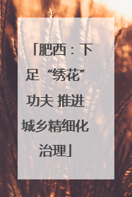 肥西：下足“绣花”功夫 推进城乡精细化治理