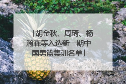 胡金秋、周琦、杨瀚森等入选新一期中国男篮集训名单