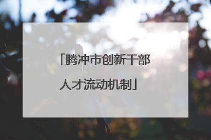 腾冲市创新干部人才流动机制