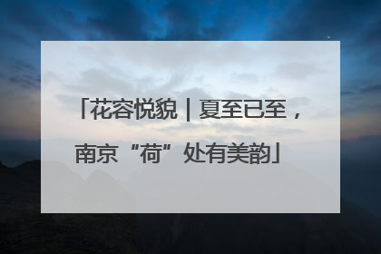 花容悦貌｜夏至已至，南京“荷”处有美韵