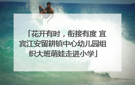 花开有时，衔接有度 宜宾江安留耕镇中心幼儿园组织大班萌娃走进小学