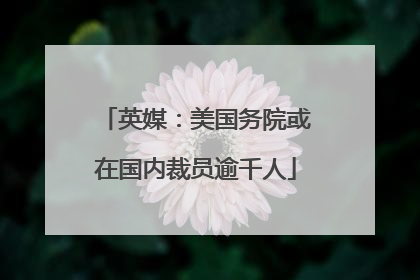 英媒：美国务院或在国内裁员逾千人