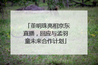 董明珠亮相京东直播，回应与孟羽童未来合作计划