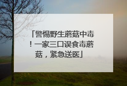 警惕野生蘑菇中毒！一家三口误食毒蘑菇，紧急送医
