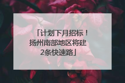 计划下月招标！扬州南部地区将建2条快速路