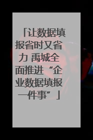 让数据填报省时又省力 禹城全面推进“企业数据填报一件事”