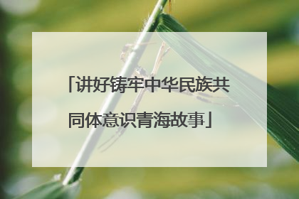 讲好铸牢中华民族共同体意识青海故事