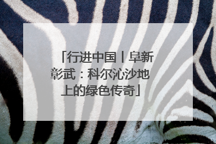 行进中国丨阜新彰武：科尔沁沙地上的绿色传奇