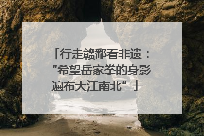 行走赣鄱看非遗：“希望岳家拳的身影遍布大江南北”