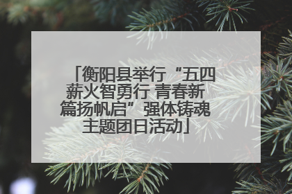 衡阳县举行“五四薪火智勇行 青春新篇扬帆启”强体铸魂主题团日活动