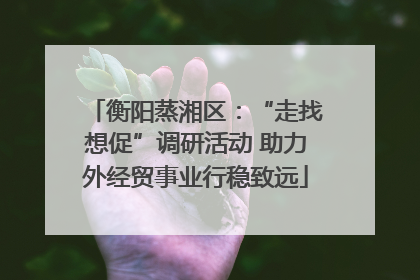 衡阳蒸湘区：“走找想促”调研活动 助力外经贸事业行稳致远