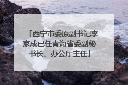 西宁市委原副书记李家成已任青海省委副秘书长、办公厅主任