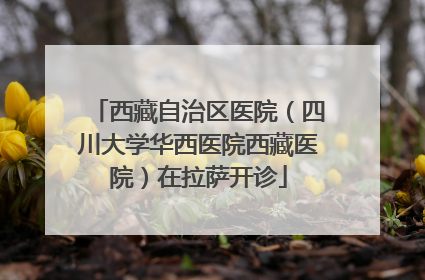 西藏自治区医院（四川大学华西医院西藏医院）在拉萨开诊