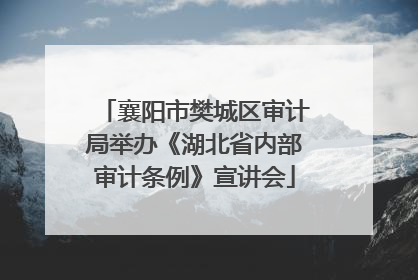 襄阳市樊城区审计局举办《湖北省内部审计条例》宣讲会