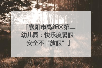 襄阳市高新区第二幼儿园：快乐度暑假 安全不“放假”