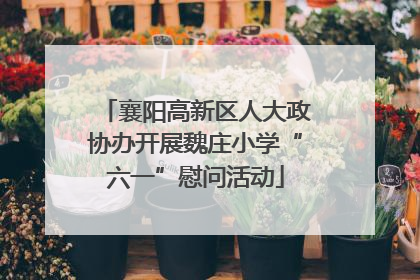 襄阳高新区人大政协办开展魏庄小学“六一”慰问活动