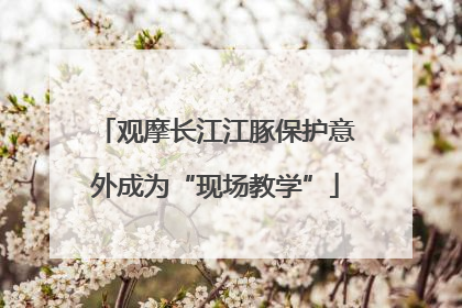 观摩长江江豚保护意外成为“现场教学”