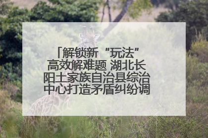 解锁新“玩法” 高效解难题 湖北长阳土家族自治县综治中心打造矛盾纠纷调处“终点站”