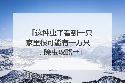 这种虫子看到一只家里很可能有一万只，除虫攻略→