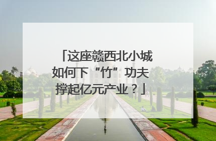 这座赣西北小城如何下“竹”功夫撑起亿元产业？