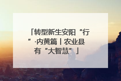 转型新生安阳“行”·内黄篇丨农业县有“大智慧”