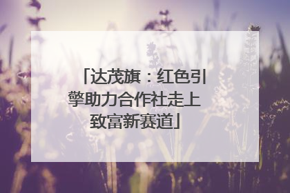 达茂旗：红色引擎助力合作社走上致富新赛道