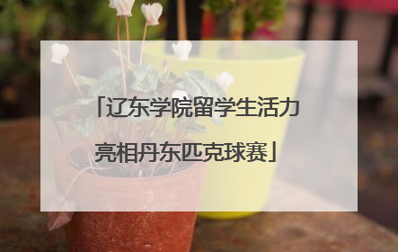辽东学院留学生活力亮相丹东匹克球赛