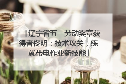 辽宁省五一劳动奖章获得者佟明：技术攻关，练就带电作业新技能
