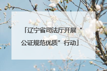 辽宁省司法厅开展“公证规范优质”行动