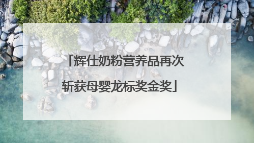 辉仕奶粉营养品再次斩获母婴龙标奖金奖
