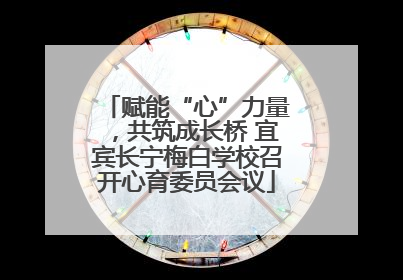 赋能“心”力量，共筑成长桥 宜宾长宁梅白学校召开心育委员会议