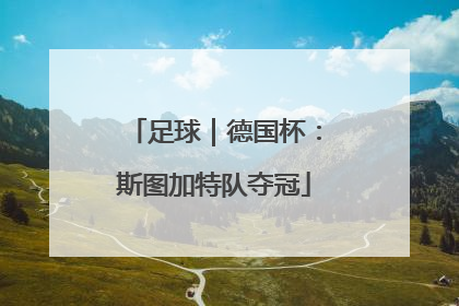 足球｜德国杯：斯图加特队夺冠