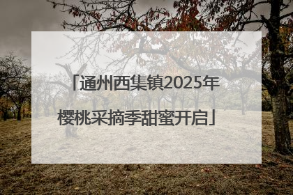 通州西集镇2025年樱桃采摘季甜蜜开启
